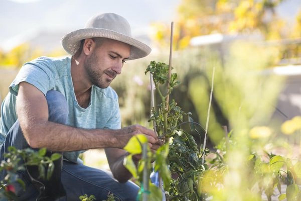Les ingrédients à la mode dans la cuisine d'aujourd'hui