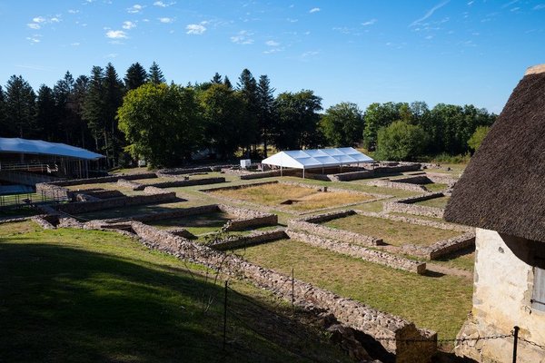 Salades gourmandes et faibles en calories